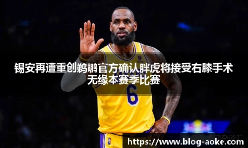 锡安再遭重创鹈鹕官方确认胖虎将接受右膝手术无缘本赛季比赛